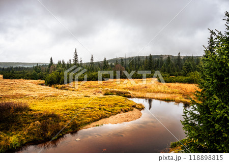 The peaceful Jizerka River winds through vibrant autumn foliage in the Jizera Mountains. Soft rain clouds hover above, creating a tranquil atmosphere in this natural landscape of Czechia. The peaceful Jizerka River winds through vibrant autumn foliage in the Jizera Mountains. Soft rain clouds hover above, creating a tranquil atmosphere in this natural landscape of Czechia. 118898815