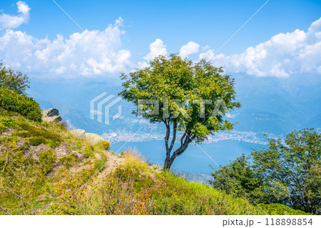 A breathtaking vista reveals Lake Como surrounded by lush hills, dotted with trees and framed by a sky filled with fluffy clouds. The serene landscape showcases nature's beauty and tranquility. A breathtaking vista reveals Lake Como surrounded by lush hills, dotted with trees and framed by a sky filled with fluffy clouds. The serene landscape showcases nature's beauty and tranquility. 118898854