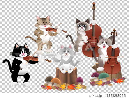 Cat's Autumn Concert 118898966