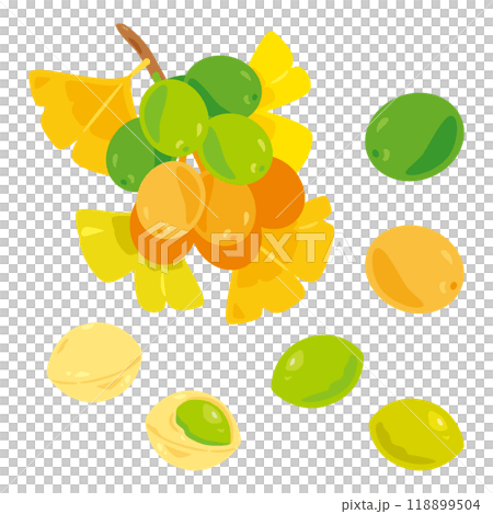 銀杏セット 118899504