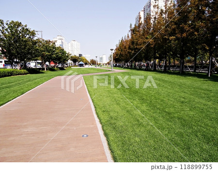 lawn with a park 118899755
