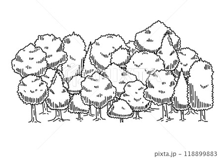 Forest sketch. Drawing pine landscape. Natural outline plant. Doodle drawn tree. Nature park or garden element 118899883