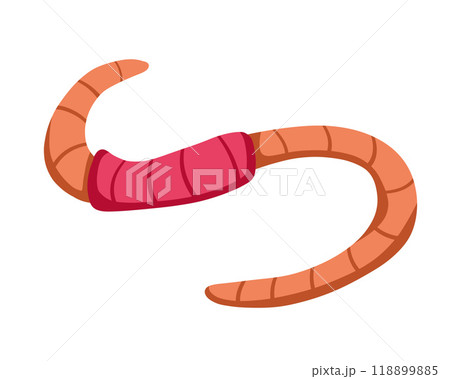 Worm bait. Slimy earthworm crawler. Cartoon insect animal. Invertebrate bug. Cartoon earth creep 118899885