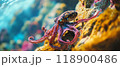 Colorful octopus on coral reef underwater 118900486