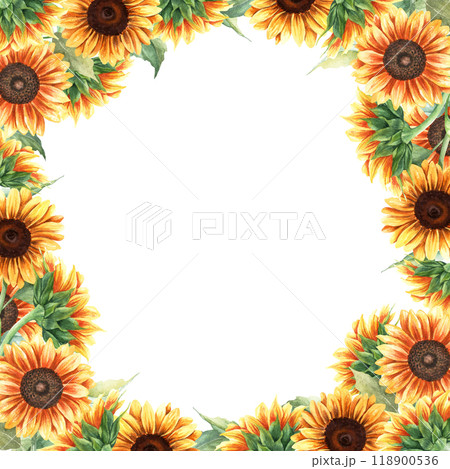 Watercolor square frame with yellow sunflowers, vibrant plants. Hand drawn botanical watercolor illustration isolated on white background. For greeting card invitation clip art sticker 118900536
