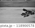 ≪アンティーク≫ 窓枠とユーカリの葉  118900578