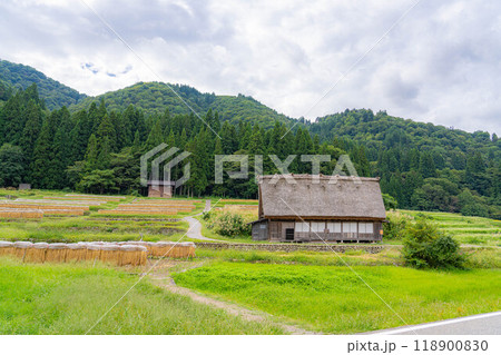 【世界遺産】稲の実った初秋の白川郷【岐阜県】 【世界遺産】稲の実った初秋の白川郷【岐阜県】 118900830
