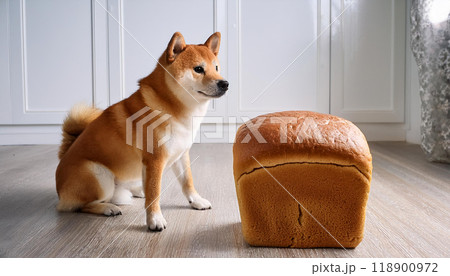 柴犬と食パン(AI生成画像) 柴犬と食パン(AI生成画像) 118900972