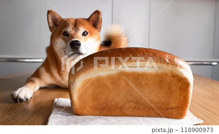 柴犬と食パン(AI生成画像) 柴犬と食パン(AI生成画像) 118900973