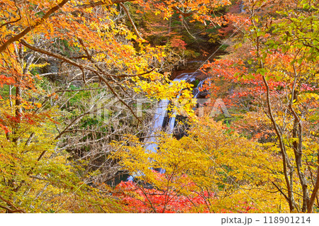 横谷渓谷 王滝の紅葉 横谷渓谷 王滝の紅葉 118901214