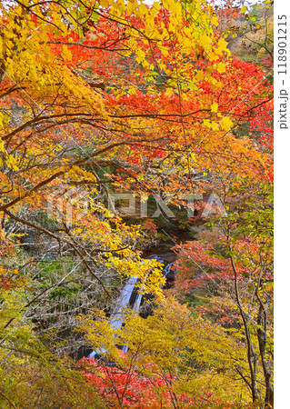 横谷渓谷 王滝の紅葉 横谷渓谷 王滝の紅葉 118901215