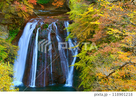 横谷渓谷　王滝の紅葉 118901218
