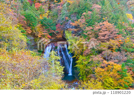横谷渓谷 王滝の紅葉 横谷渓谷 王滝の紅葉 118901220