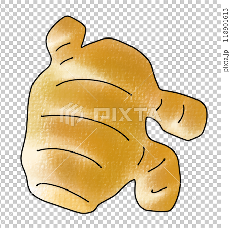 Loose and simple ginger analog style Loose and simple ginger analog style 118901613