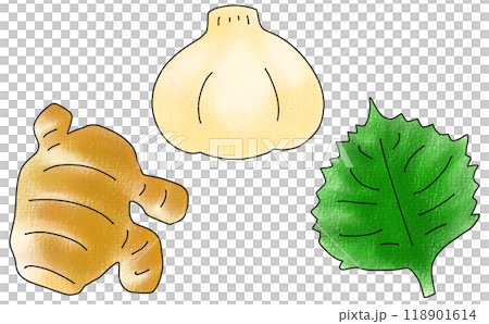 寬鬆簡單的調味料蔬菜套裝模擬風格 118901614