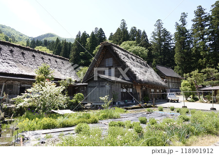 白川郷の新緑が美しい樹々と合掌造りの家屋 白川郷の新緑が美しい樹々と合掌造りの家屋 118901912