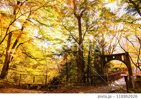 鹿教湯温泉　紅葉橋 118902026