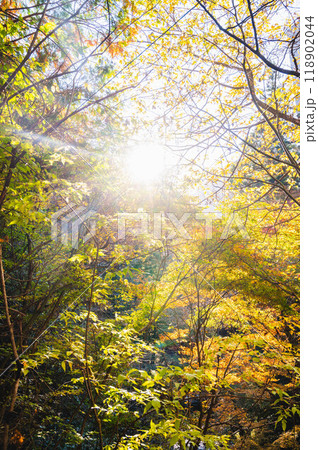 秋の鹿教湯温泉　散策 118902044