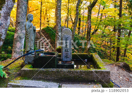 秋の鹿教湯温泉　薬師吉祥の水 118902053