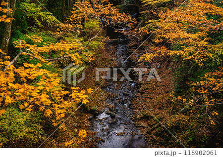 秋の鹿教湯温泉　散策 118902061
