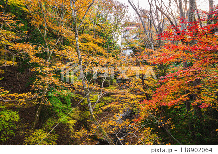 秋の鹿教湯温泉　散策 118902064