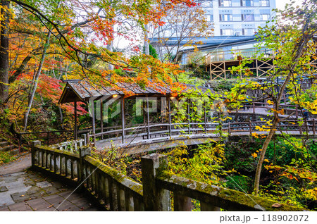 鹿教湯温泉　五台橋 118902072