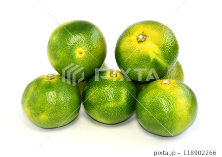 みかん（服部早生） 118902266