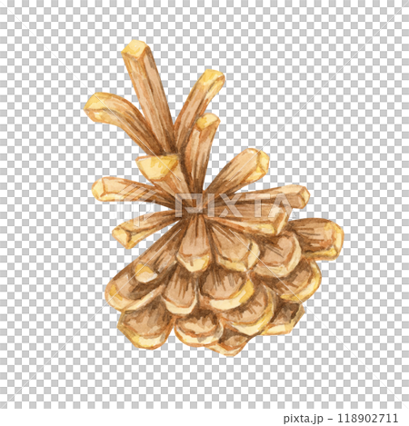 Pine cone watercolor illustration for winter crafts, holiday invitations, and nature-themed decor. Watercolor botanical clipart perfect for enhancing eco-friendly packaging and rustic merchandise Pine cone watercolor illustration for winter crafts, holiday invitations, and nature-themed decor. Watercolor botanical clipart perfect for enhancing eco-friendly packaging and rustic merchandise 118902711