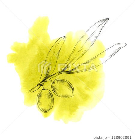 Hand-drawn olive branch with two olives, overlaid on a bold yellow watercolor background. Isolated Illustration for gourmet food packaging, natural skincare products, or artisan olive oil branding 118902891