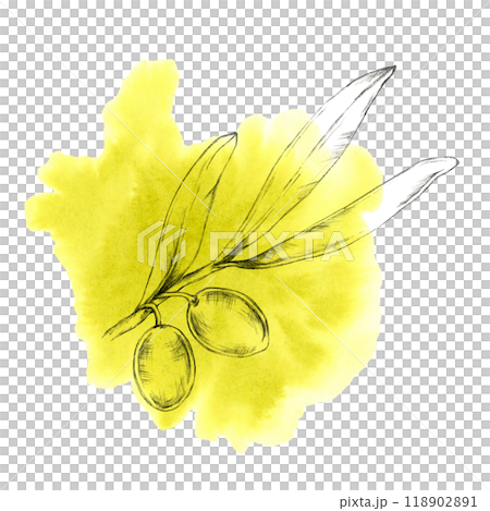 Hand-drawn olive branch with two olives, overlaid on a bold yellow watercolor background. Isolated Illustration for gourmet food packaging, natural skincare products, or artisan olive oil branding 118902891