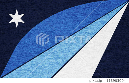 Flag of the city of Columbia, South Carolina, USA, on a background of a plaster wall. Conceptual collage 118903094