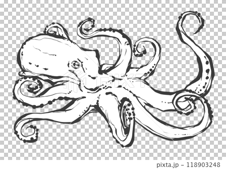Hand-drawn illustration of an octopus 118903248
