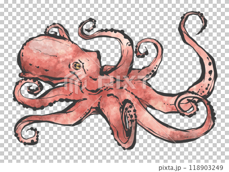 Hand-drawn illustration of an octopus 118903249