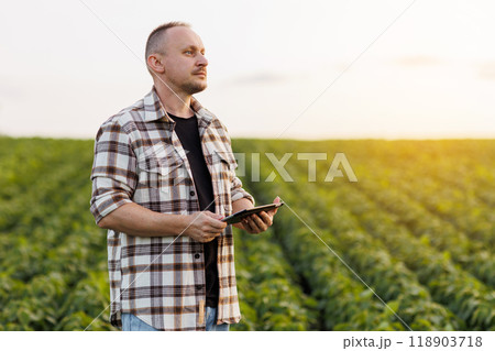 Agronomist farmer uses digital tablet to analyse and check quality control the growth soybeans plants in the field. Smart farming technology and organic agriculture concept. Modern soya agribusiness Agronomist farmer uses digital tablet to analyse and check quality control the growth soybeans plants in the field. Smart farming technology and organic agriculture concept. Modern soya agribusiness 118903718