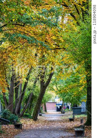 Autumn view of famous Old North Cemetery of Munich, Germany with historic gravestones. 118904098