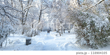 Winter view of famous Old North Cemetery of Munich, Germany with historic gravestones. Winter view of famous Old North Cemetery of Munich, Germany with historic gravestones. 118904105