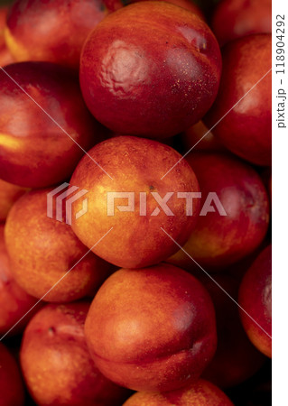 a small harvest of ripe washed nectarines 118904292