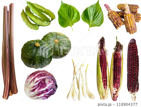切り抜き素材セットー野菜15 118904377