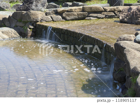 南行徳公園(えんぴつ公園)の水場・市川市 118905117