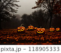 Dark Halloween pumpkin long shot neutral colors. 118905333