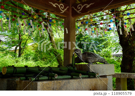 風鈴のある手水舎 風鈴のある手水舎 118905579