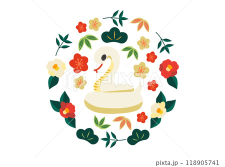 白のとぐろを巻いたへび 松竹梅と椿のあしらいイラスト 白のとぐろを巻いたへび 松竹梅と椿のあしらいイラスト 118905741