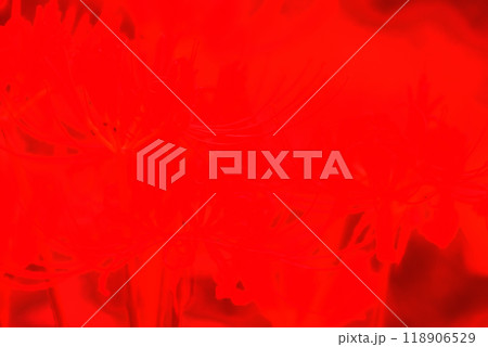 レッド系　背景画像 118906529