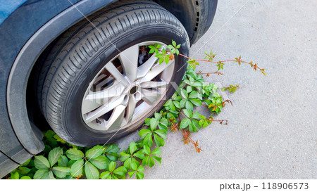 Green plants engulf car tire, symbolizing nature's resilience and urban space reclamation, ivy vs. mechanical, nature versus human progress, environmental equilibrium. Green plants engulf car tire, symbolizing nature's resilience and urban space reclamation, ivy vs. mechanical, nature versus human progress, environmental equilibrium. 118906573