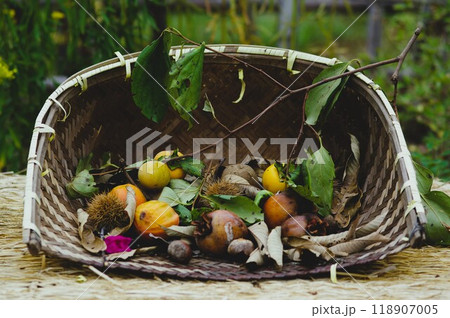 秋色風景 1058447 118907005