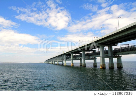 りんくう公園から望む空港連絡橋 りんくう公園から望む空港連絡橋 118907039