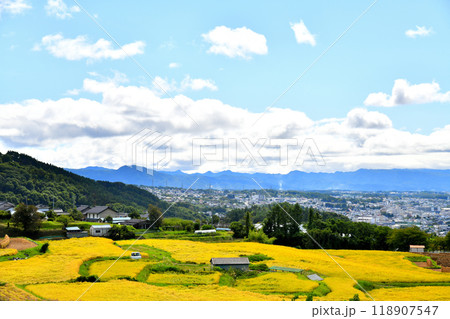 小諸市中心地を望む(長野県小諸市)【2024.9】 小諸市中心地を望む(長野県小諸市)【2024.9】 118907547