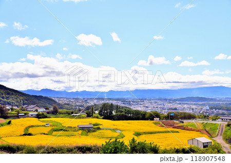 小諸市中心地を望む(長野県小諸市)【2024.9】 小諸市中心地を望む(長野県小諸市)【2024.9】 118907548