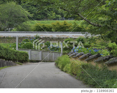 愛知県の松平郷のあじさい 118908161