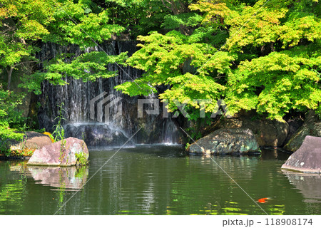 《兵庫県》姫路城西御屋敷跡庭園 好古園 《兵庫県》姫路城西御屋敷跡庭園 好古園 118908174